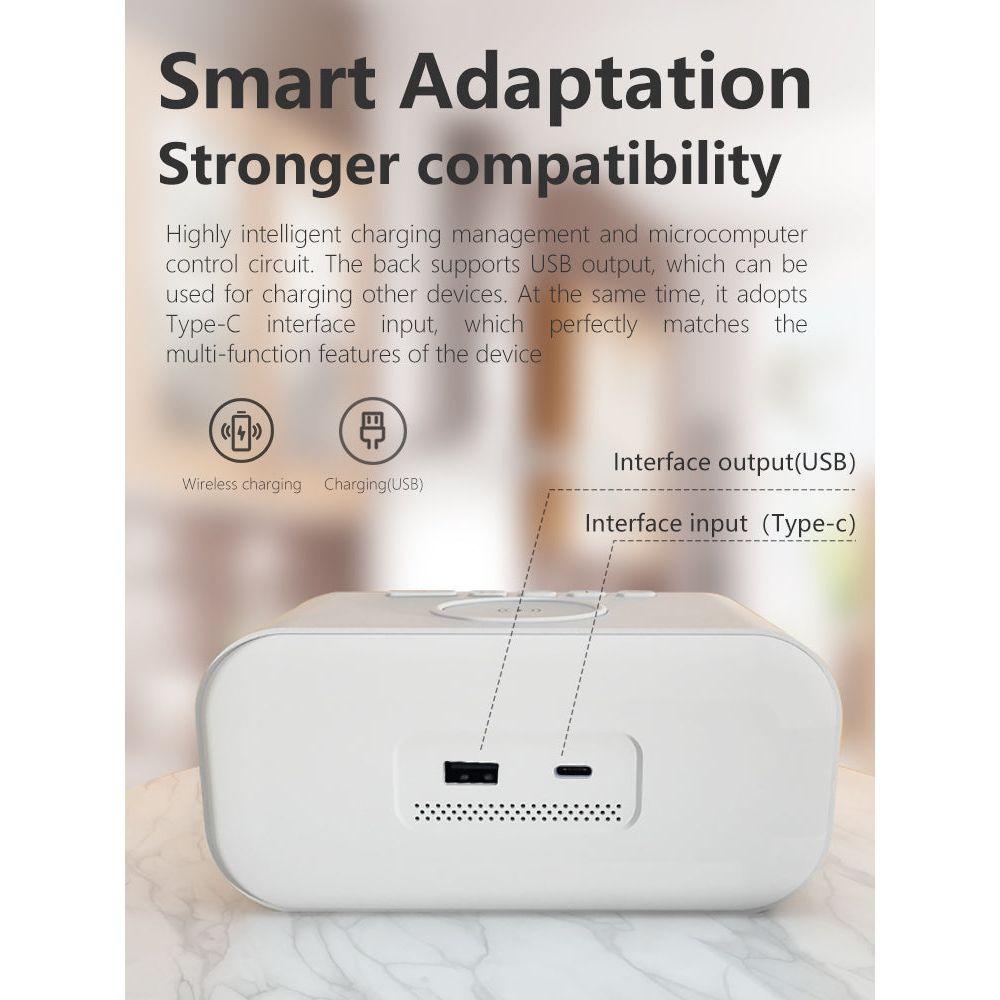 2-in-1 Alarm Clock - Multitime - Digital Display